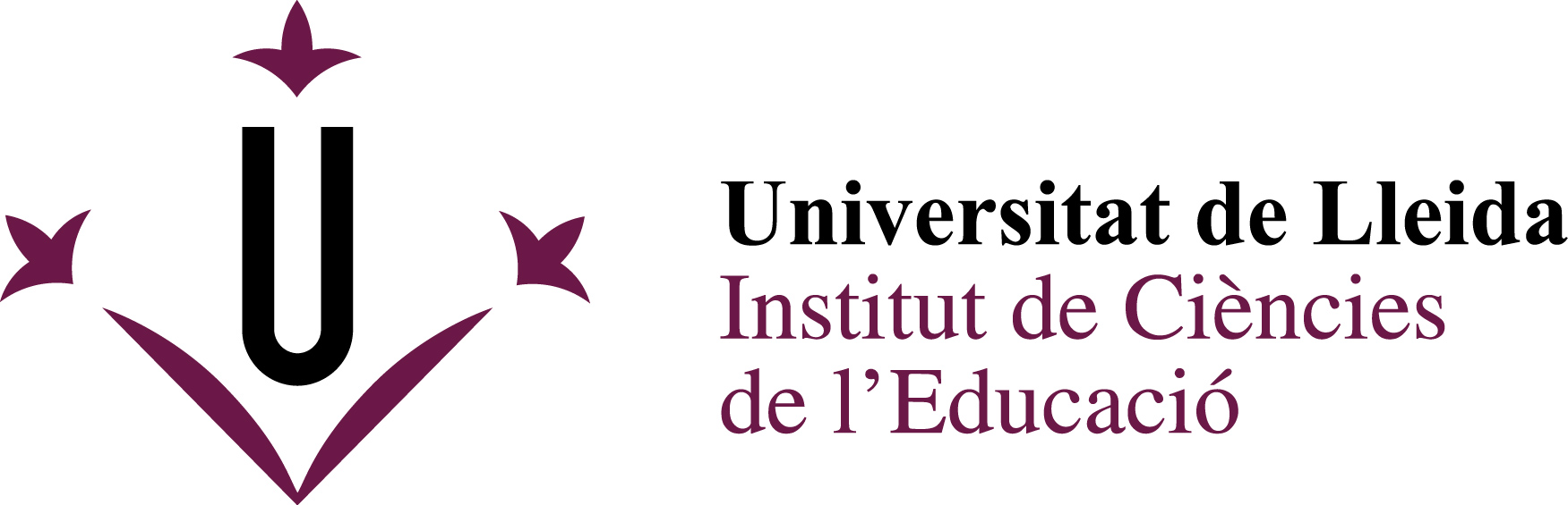 ICE de la Universitat de Lleida