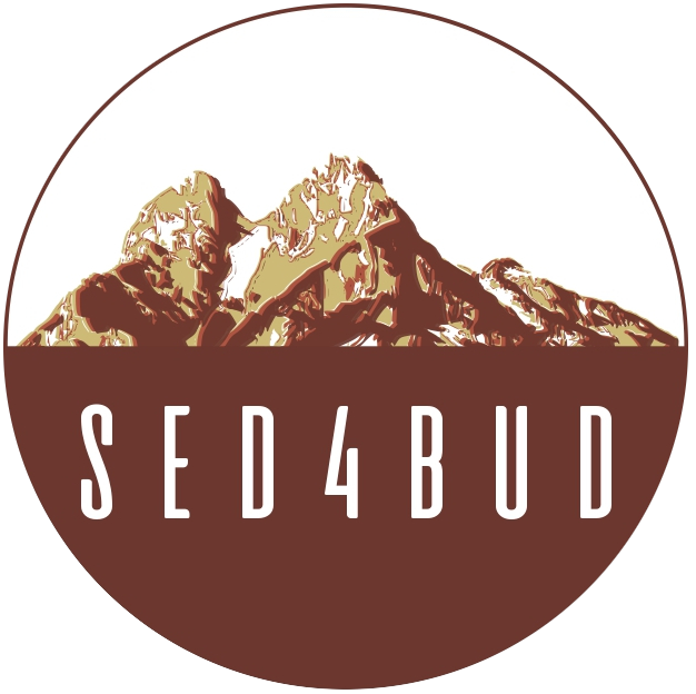 Projecte SED4BUD