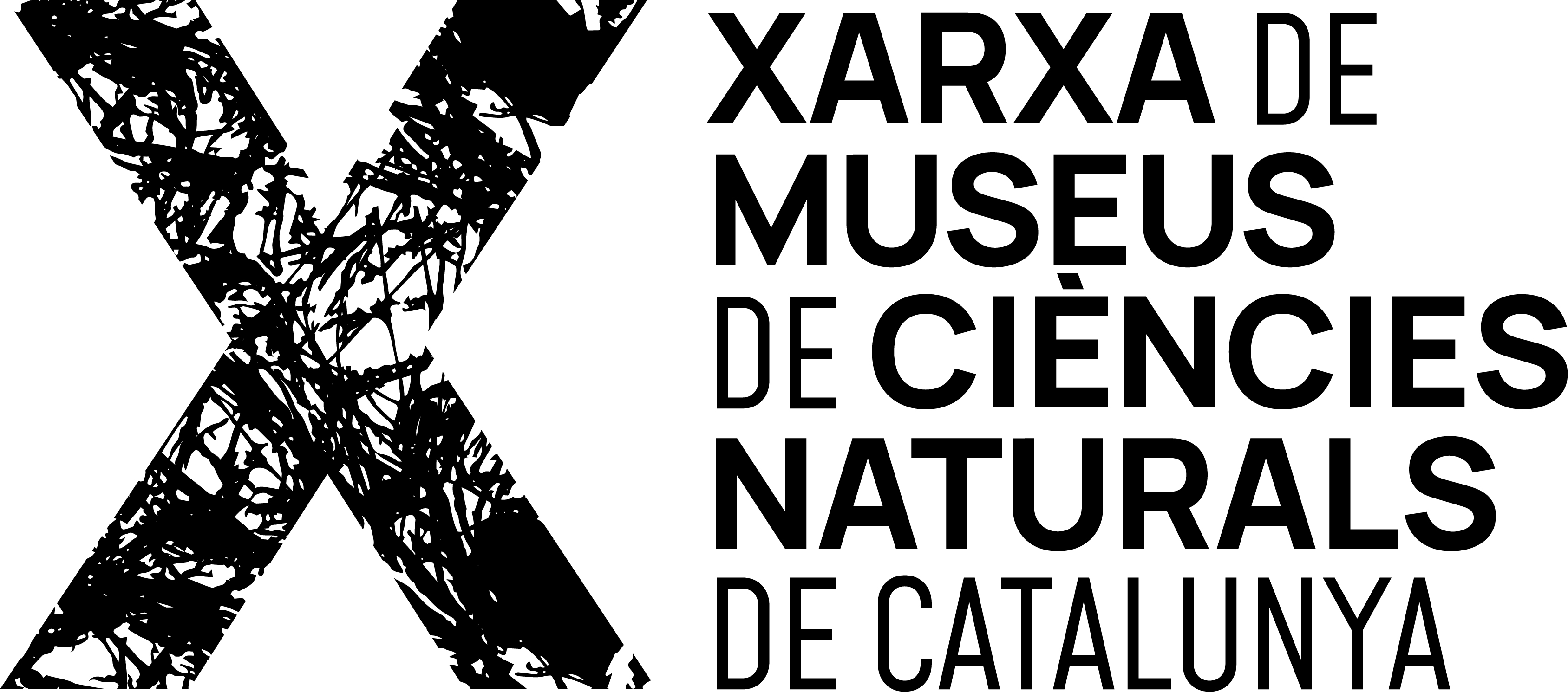 Xarxa de Museus de Ciències de Catalunya