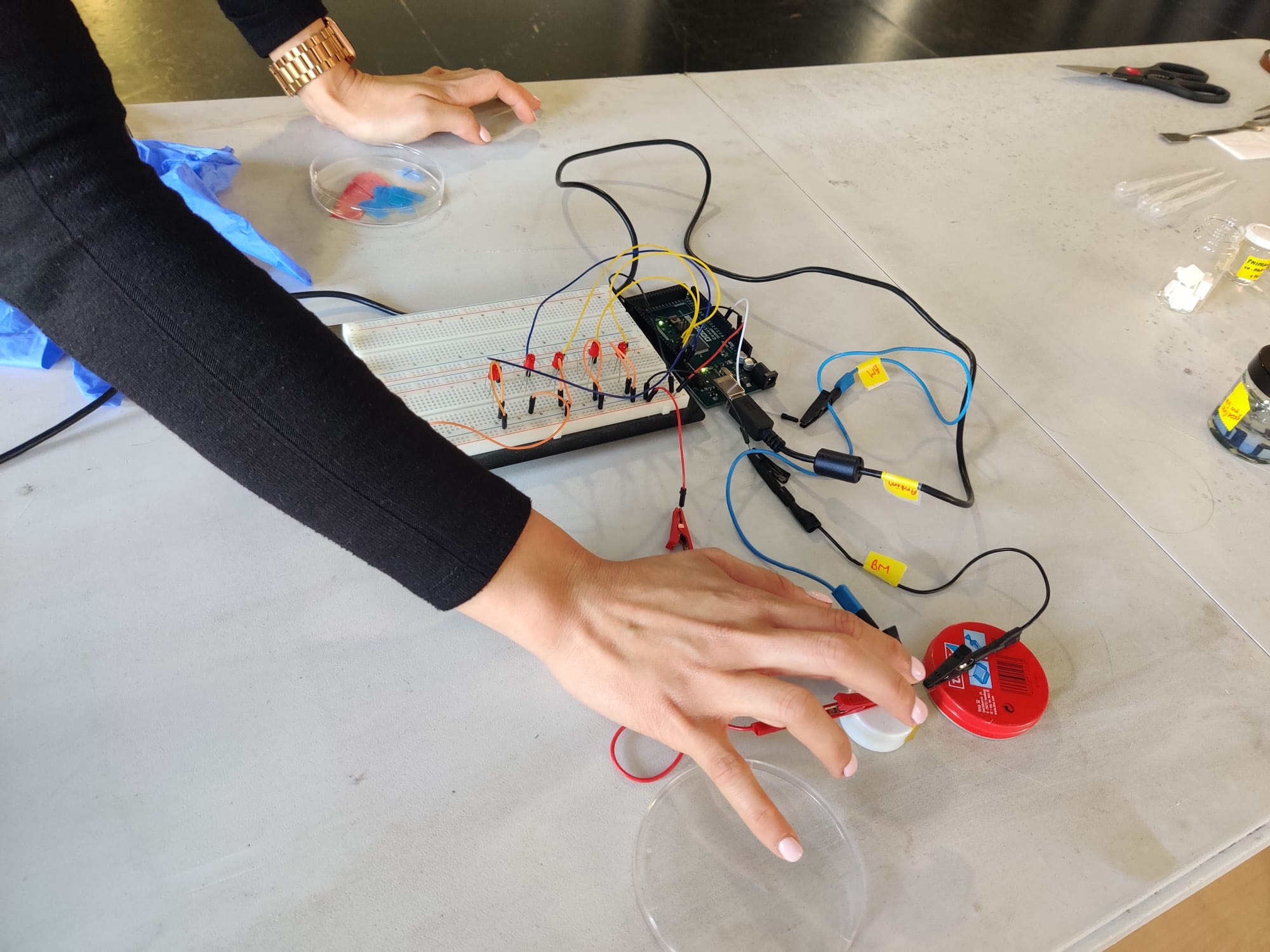 Imatge de l’activitat