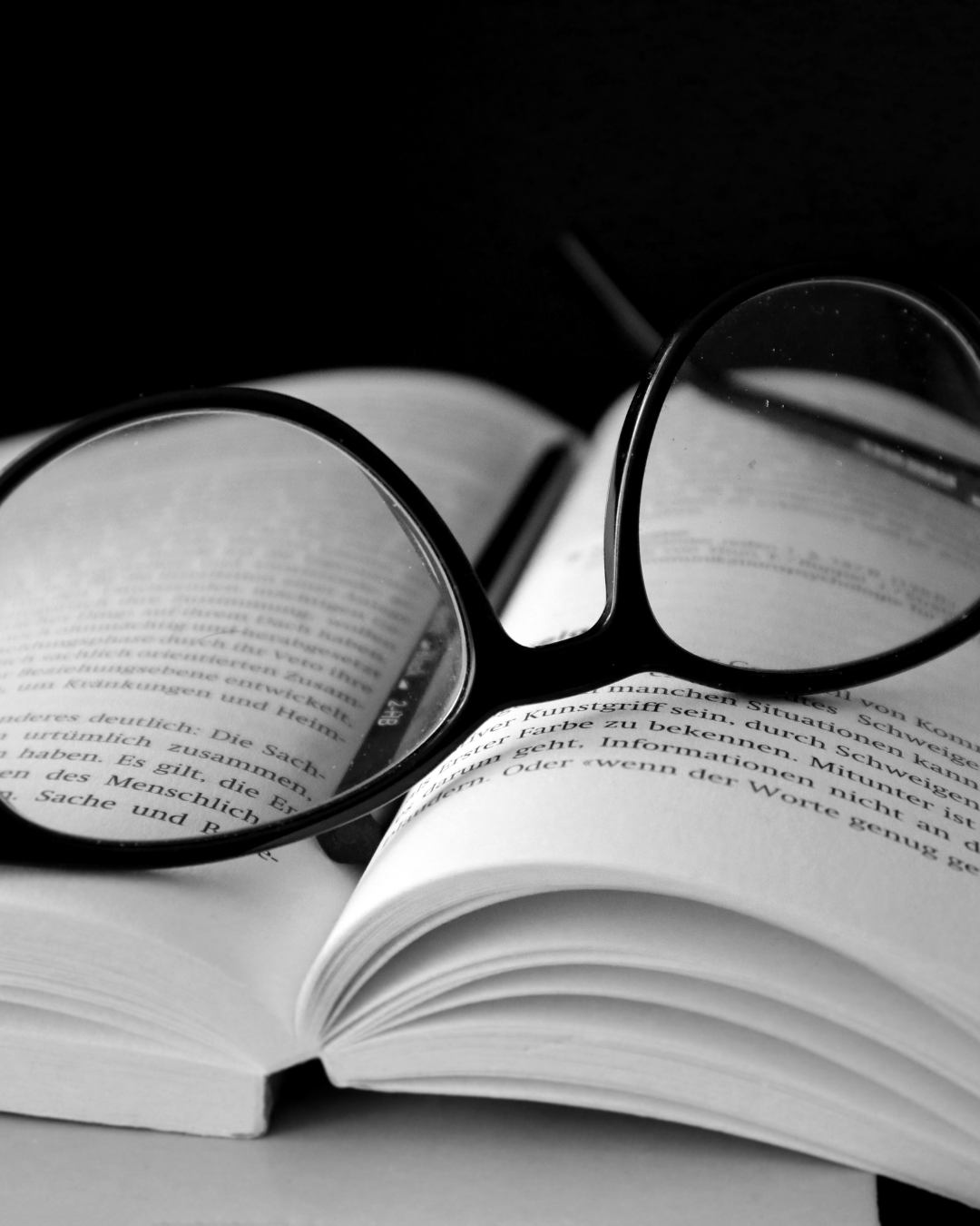 Imatge de l’activitat