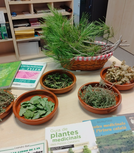 Imatge de l’activitat