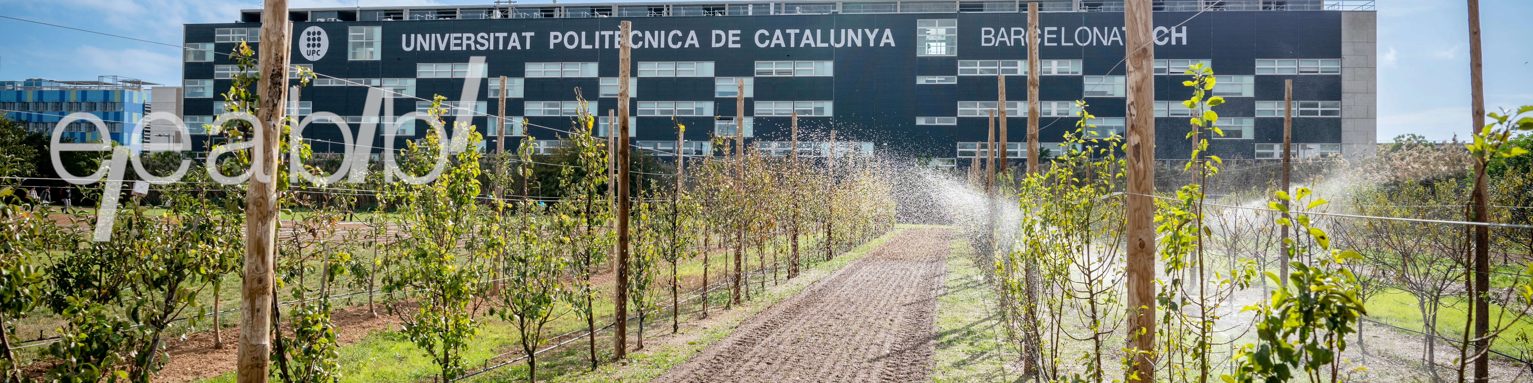 Imatge de l’activitat