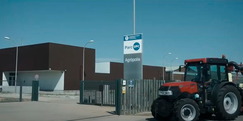 Imatge de l’activitat