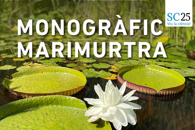 Monogràfic Marimurtra: 'Ambients aquàtics'