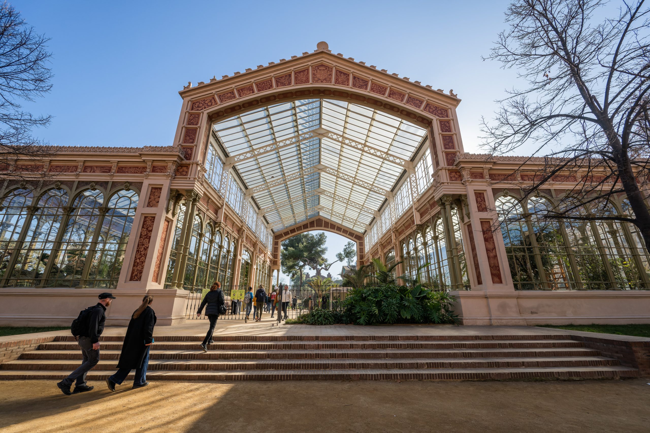 Visita guiada a l'Hivernacle