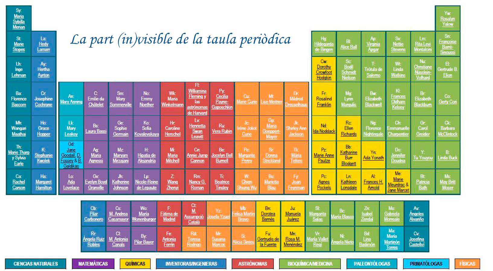Imatge de l’activitat