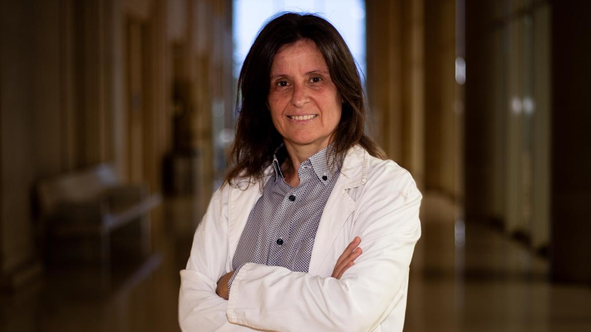 Imatge de l’activitat