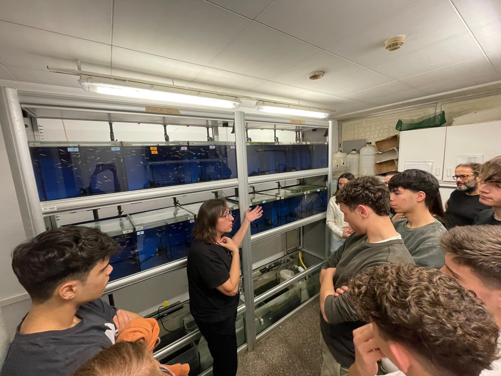 Imatge de l’activitat