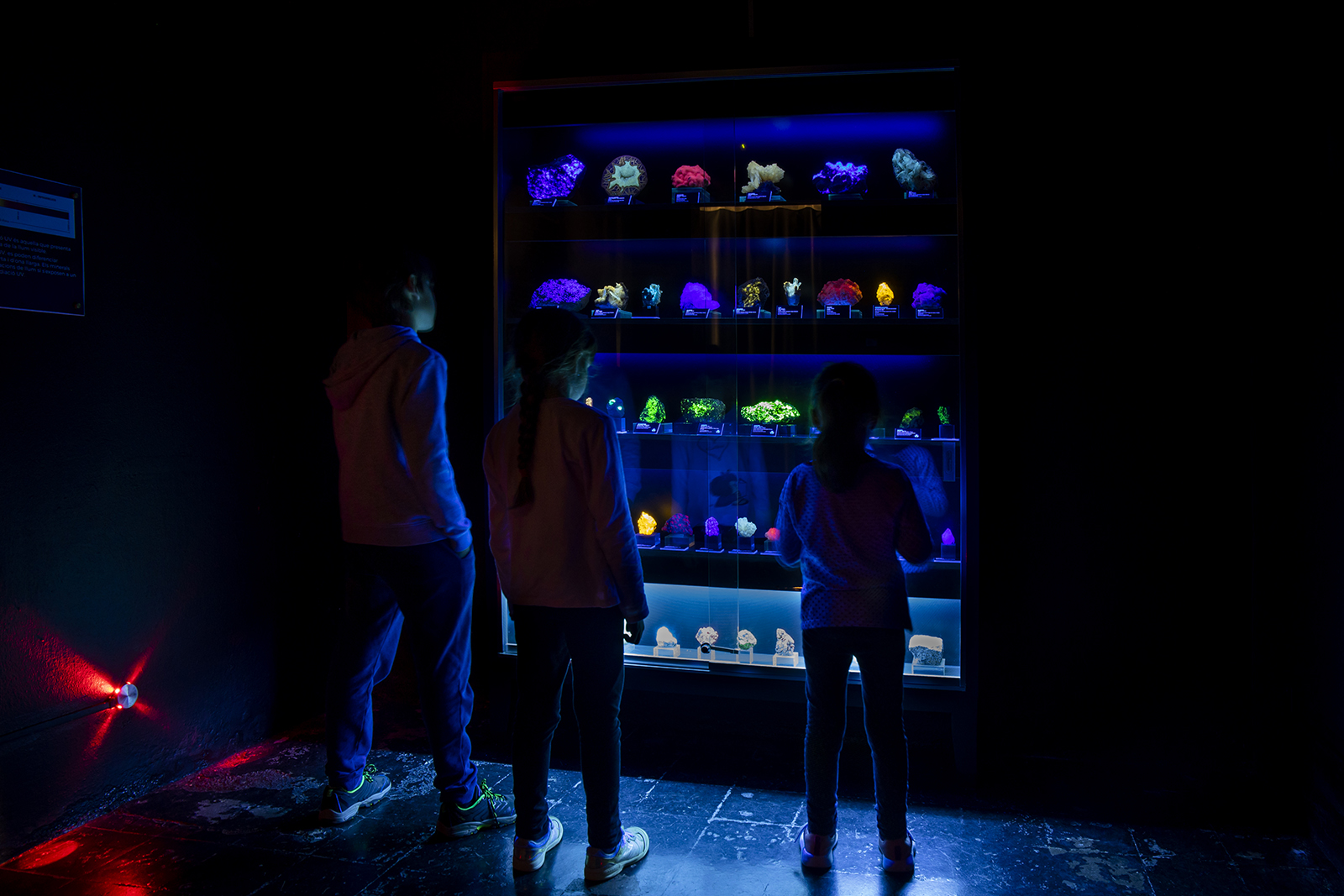 Imatge de l’activitat